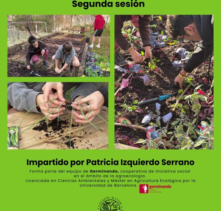 Taller de huerto ecológico (segunda sesión)